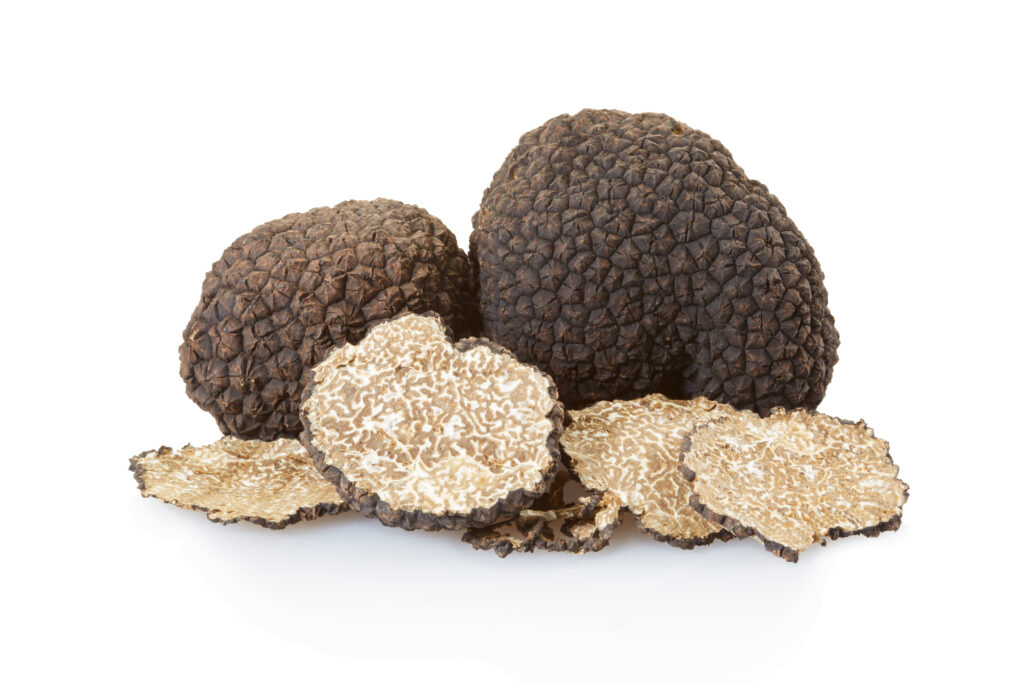 Tartufo nero - black truffles